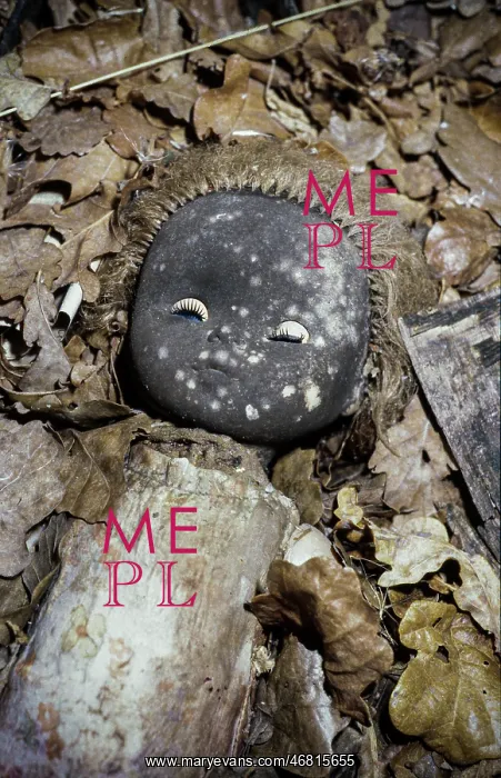 : Chernobyl fallout - 1995 : Chernobyl fallout - 1995