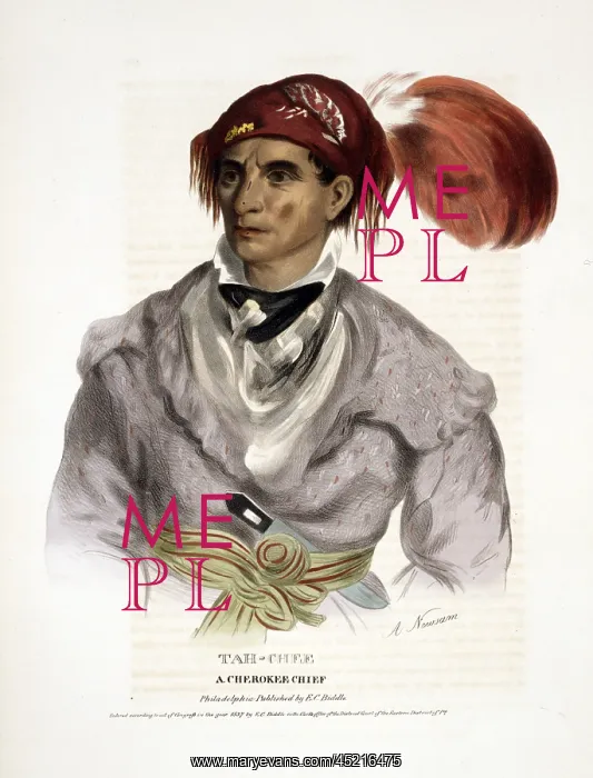 : Cherokee Tribe. Tah-chee, a Cherokee chief. ? : Cherokee Tribe. Tah-chee, a Cherokee chief. ?