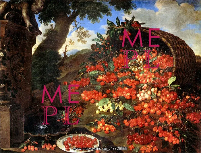  : Cherries