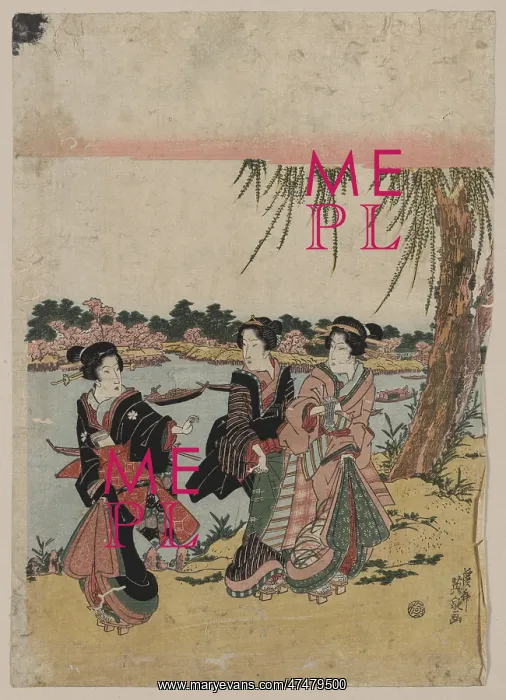 : Cherry blossoms at Mimeguri : Cherry blossoms at Mimeguri