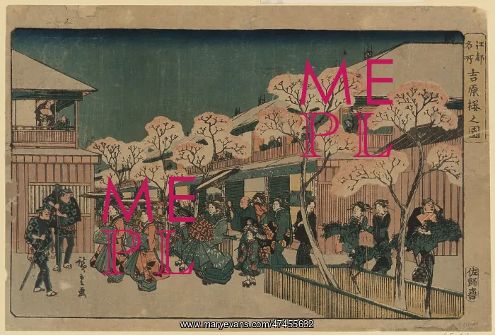  : Cherry blossoms of Yoshiwara
