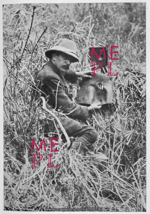 : CHERRY KEARTON : CHERRY KEARTON