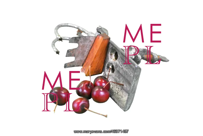  : Cherry Stoner and Peeler