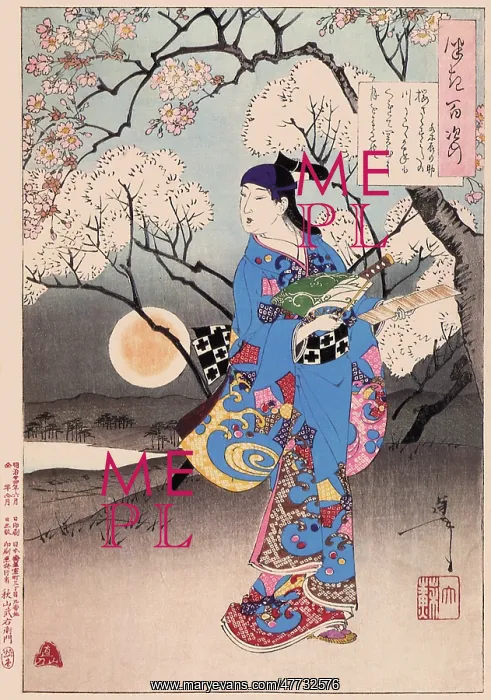 : Cherry Trees Blossom : Cherry Trees Blossom
