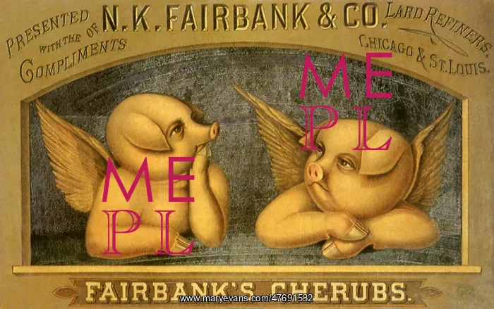  : Cherub Pigs