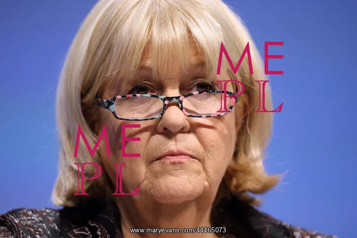 : Cheryl Gillan MP : Cheryl Gillan MP