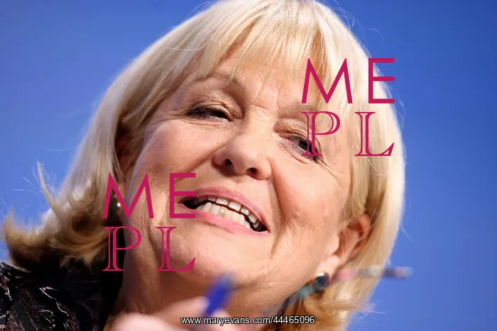 : Cheryl Gillan MP : Cheryl Gillan MP