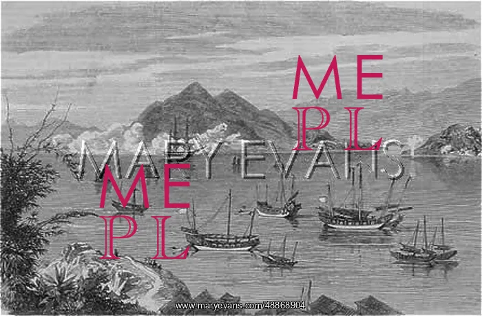 : Chesapeake in Hong Kong harbour : Chesapeake in Hong Kong harbour