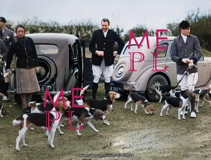 : CHESHIRE FOX MEET : CHESHIRE FOX MEET