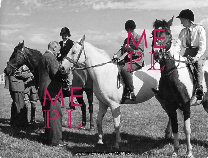 : CHESHIRE HORSE SHOW : CHESHIRE HORSE SHOW