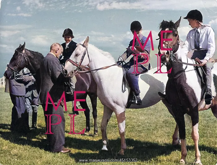 : CHESHIRE HORSE SHOW : CHESHIRE HORSE SHOW