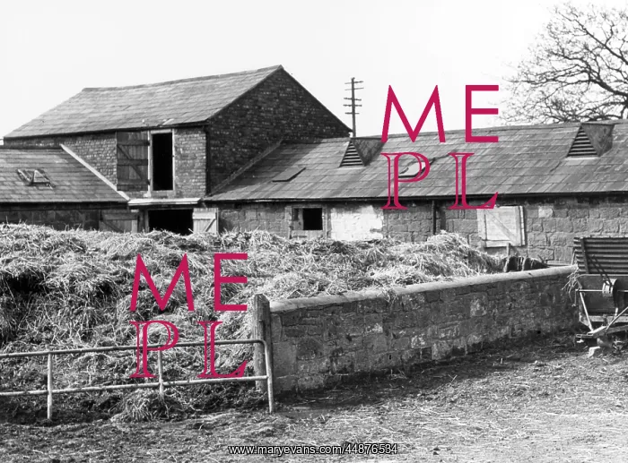 : CHESHIRE MUCK HEAP : CHESHIRE MUCK HEAP
