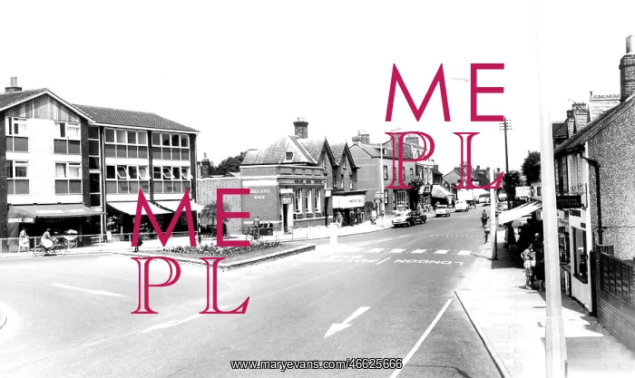  : Cheshunt, Turners Hill c1965