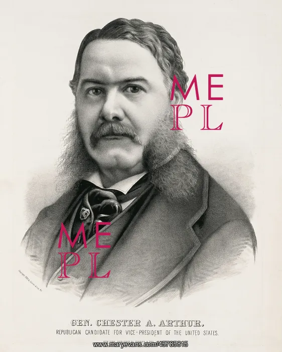 : Chester A. Arthur - vice President : Chester A. Arthur - vice President