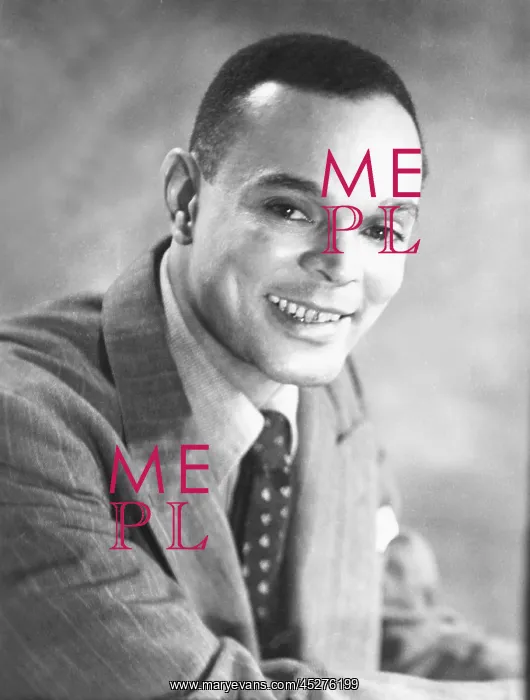 : Chester Bomar Himes, African American author of : Chester Bomar Himes, African American author of