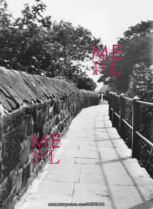 : CHESTER CITY WALL : CHESTER CITY WALL