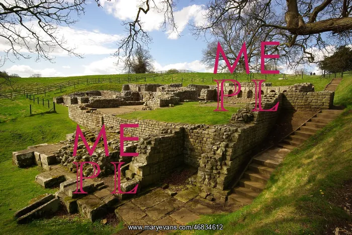 : Chesters Fort and Bath House, Hadrian's Wall : Chesters Fort and Bath House, Hadrian's Wall