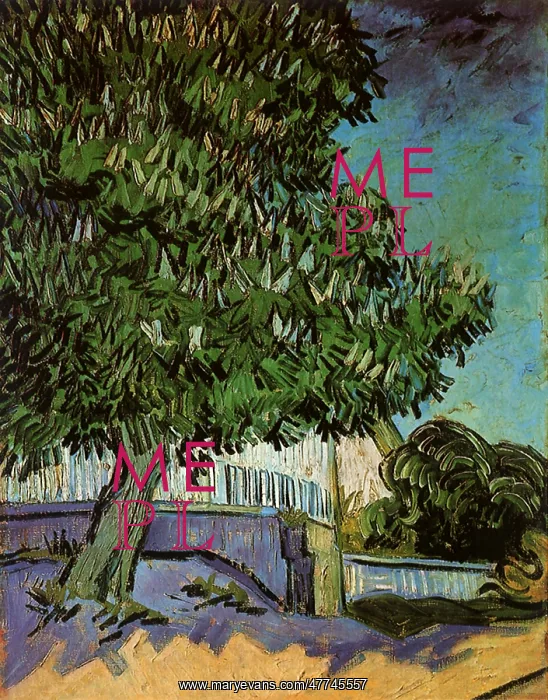 : Chestnut Tree in Blossom, by Van Gogh : Chestnut Tree in Blossom, by Van Gogh