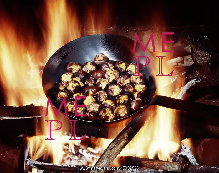 : Chestnuts Roasting in Iron Skillet on An Open : Chestnuts Roasting in Iron Skillet on An Open