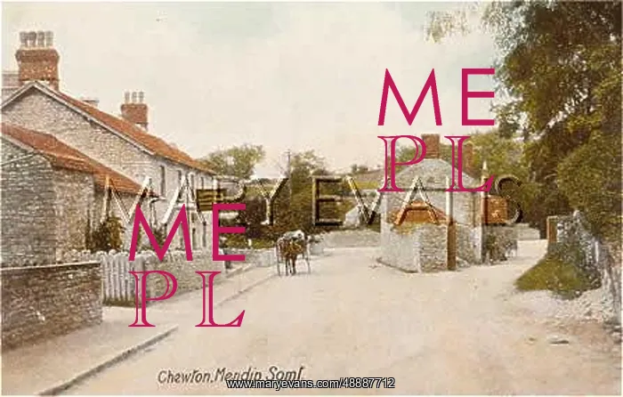  : CHEWTON MENDIP / SOMERSET