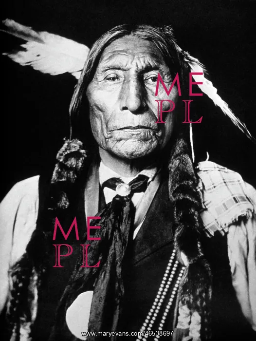  : Cheyenne. Photograph of Wolf Robe