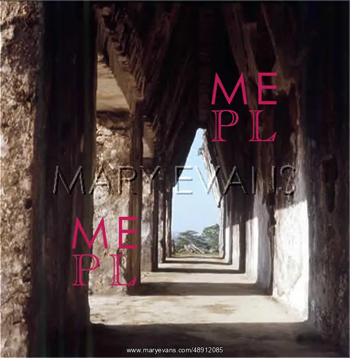 : CHIAPAS / PALENQUE : CHIAPAS / PALENQUE