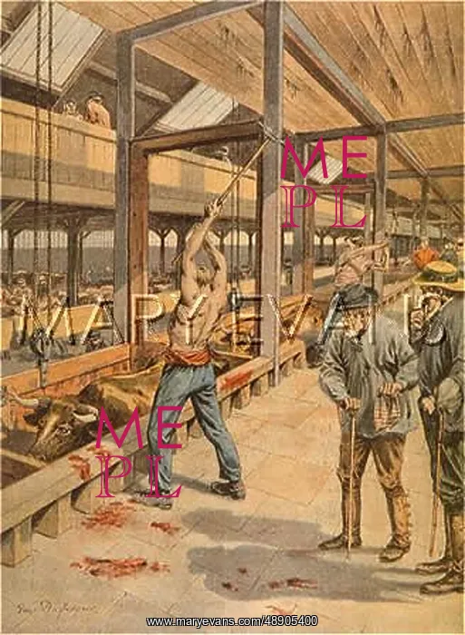  : CHICAGO ABATTOIR