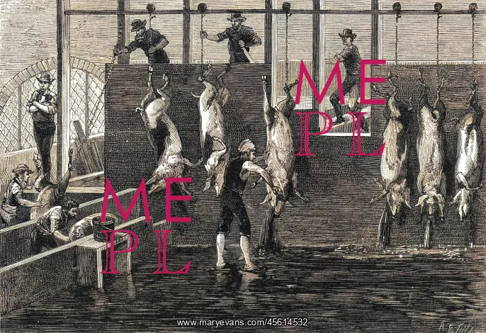  : CHICAGO BUTCHERY
