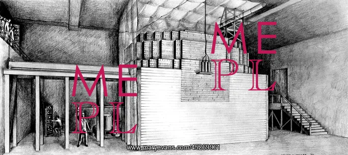 : Chicago Pile-1 (CP-1) was built under the direction : Chicago Pile-1 (CP-1) was built under the direction