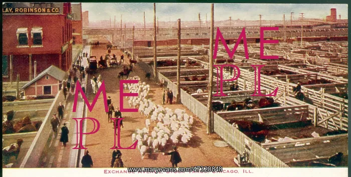  : CHICAGO STOCKYARDS