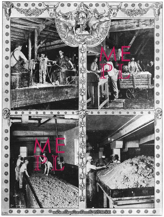 : The Chicago Tinned-Meat Scandal : The Chicago Tinned-Meat Scandal