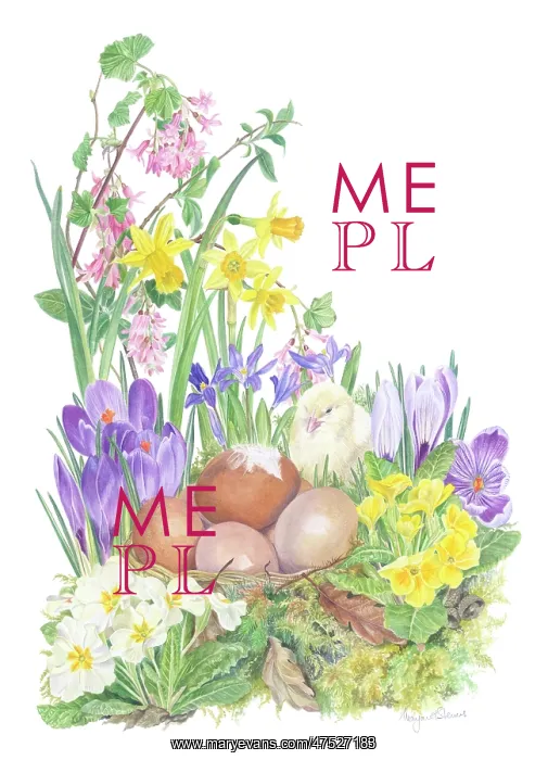: Chick with brown eggs and spring flowers : Chick with brown eggs and spring flowers