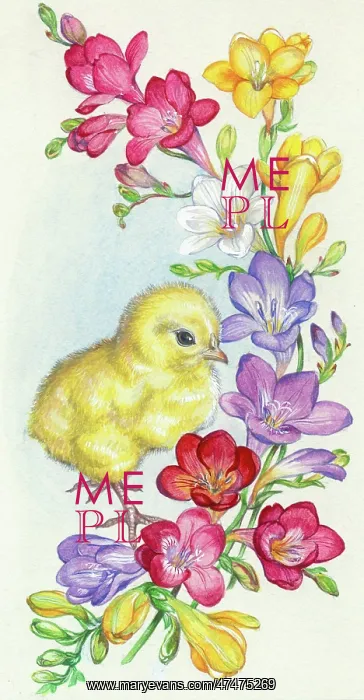  : Chick with coloured freesias