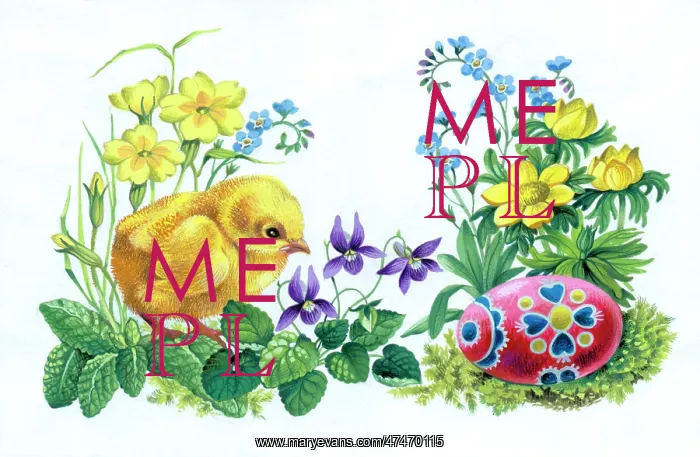 : Chick with Easter Egg among primroses etc : Chick with Easter Egg among primroses etc
