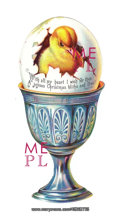 : Chick in an eggcup on a cutout Christmas card : Chick in an eggcup on a cutout Christmas card