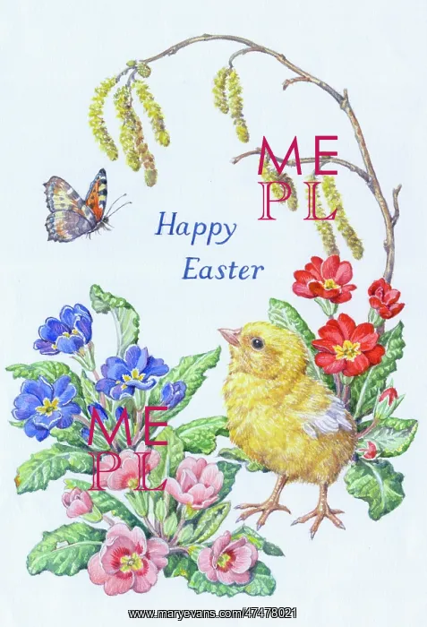 : Chick with Hazel Catkins, Primulas and Butterfly : Chick with Hazel Catkins, Primulas and Butterfly