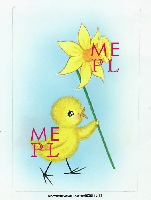  : Chick holding daffodil