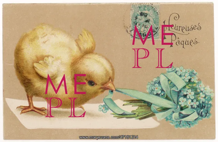  : Chick and Posy