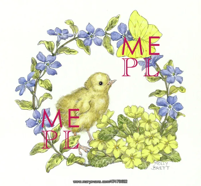 : Chick with primroses, periwinkle and butterfly : Chick with primroses, periwinkle and butterfly