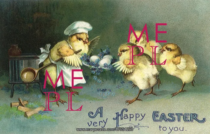  : Chick Serving Eggs