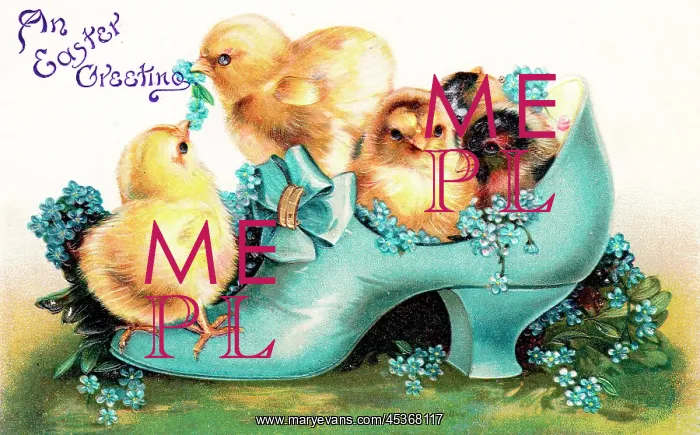 : Chicks in a blue shoe on an Easter postcard : Chicks in a blue shoe on an Easter postcard
