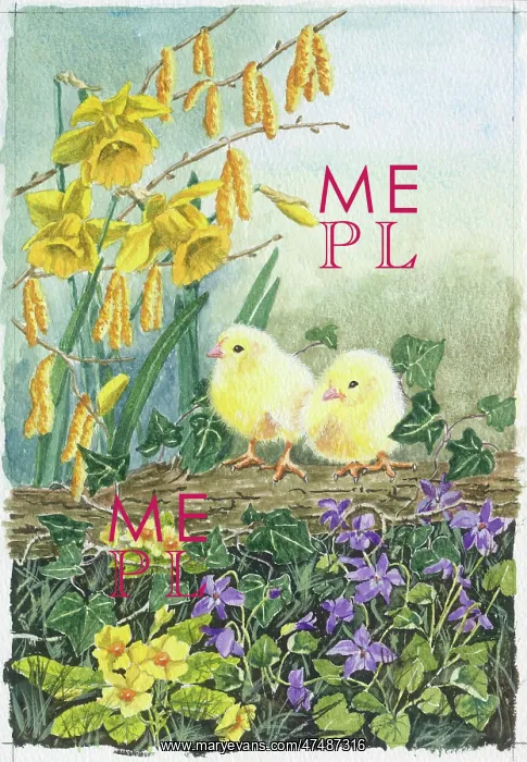 : Two chicks with daffodils, catkins, primroses etc : Two chicks with daffodils, catkins, primroses etc