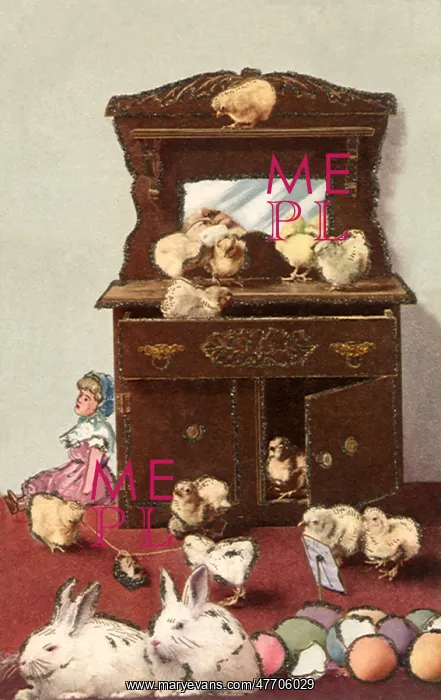  : Chicks in Dresser