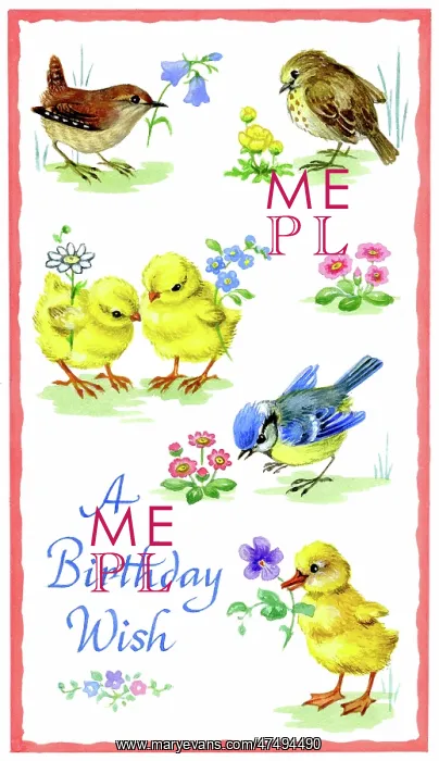: Chicks, duckling, wren, thrush and blue tit : Chicks, duckling, wren, thrush and blue tit