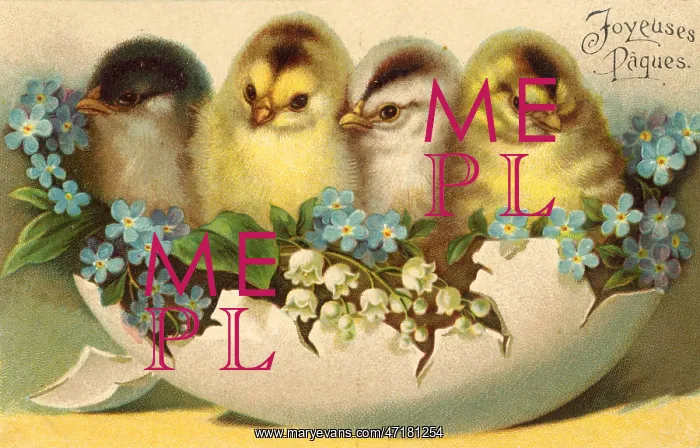  : Chicks and Flowers