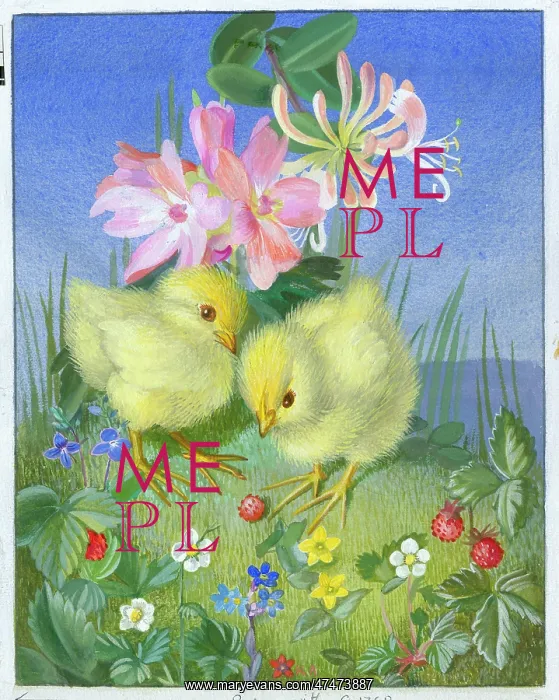  : Two chicks with fruit and flowers