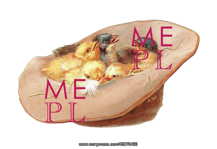 : Chicks inside a hat-shaped greetings card : Chicks inside a hat-shaped greetings card