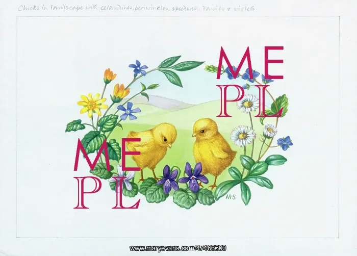 : Two Chicks in Landscape in a wreath of flowers : Two Chicks in Landscape in a wreath of flowers