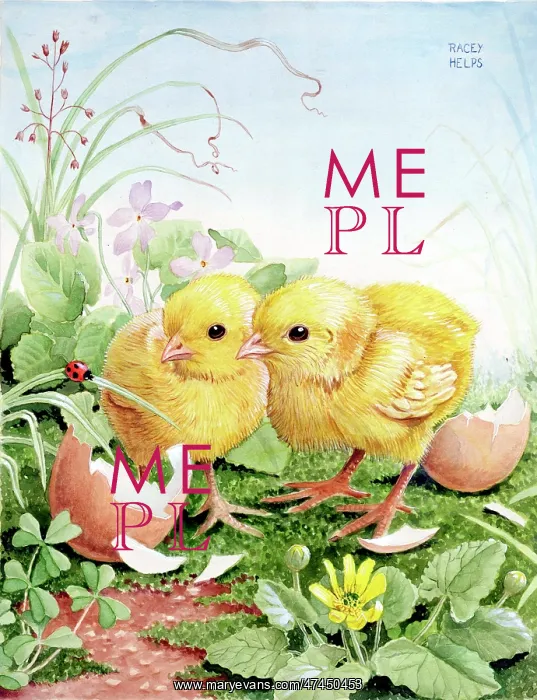  : Two Chicks looking at a Ladybird