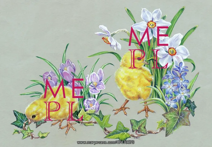 : Two Chicks with narcissi, crocuses, chionodoxa : Two Chicks with narcissi, crocuses, chionodoxa